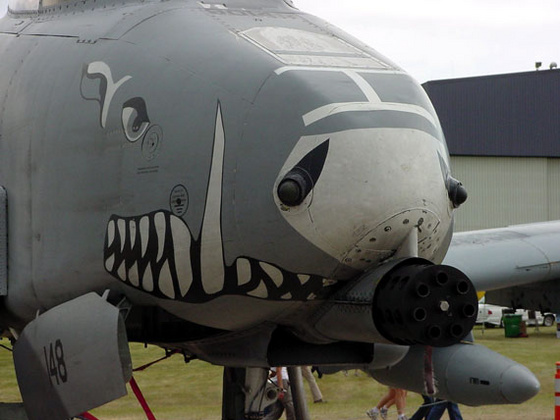 A-10Warthog DaleM