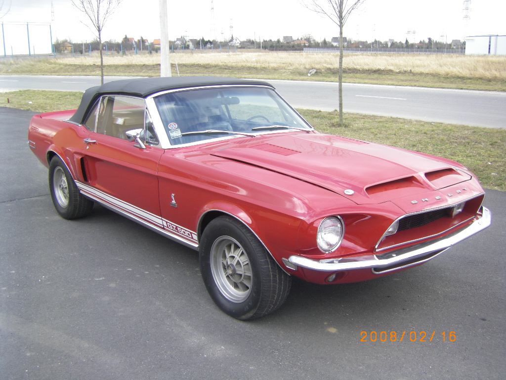 Shelby GT 500 Conv. at Hungary 024