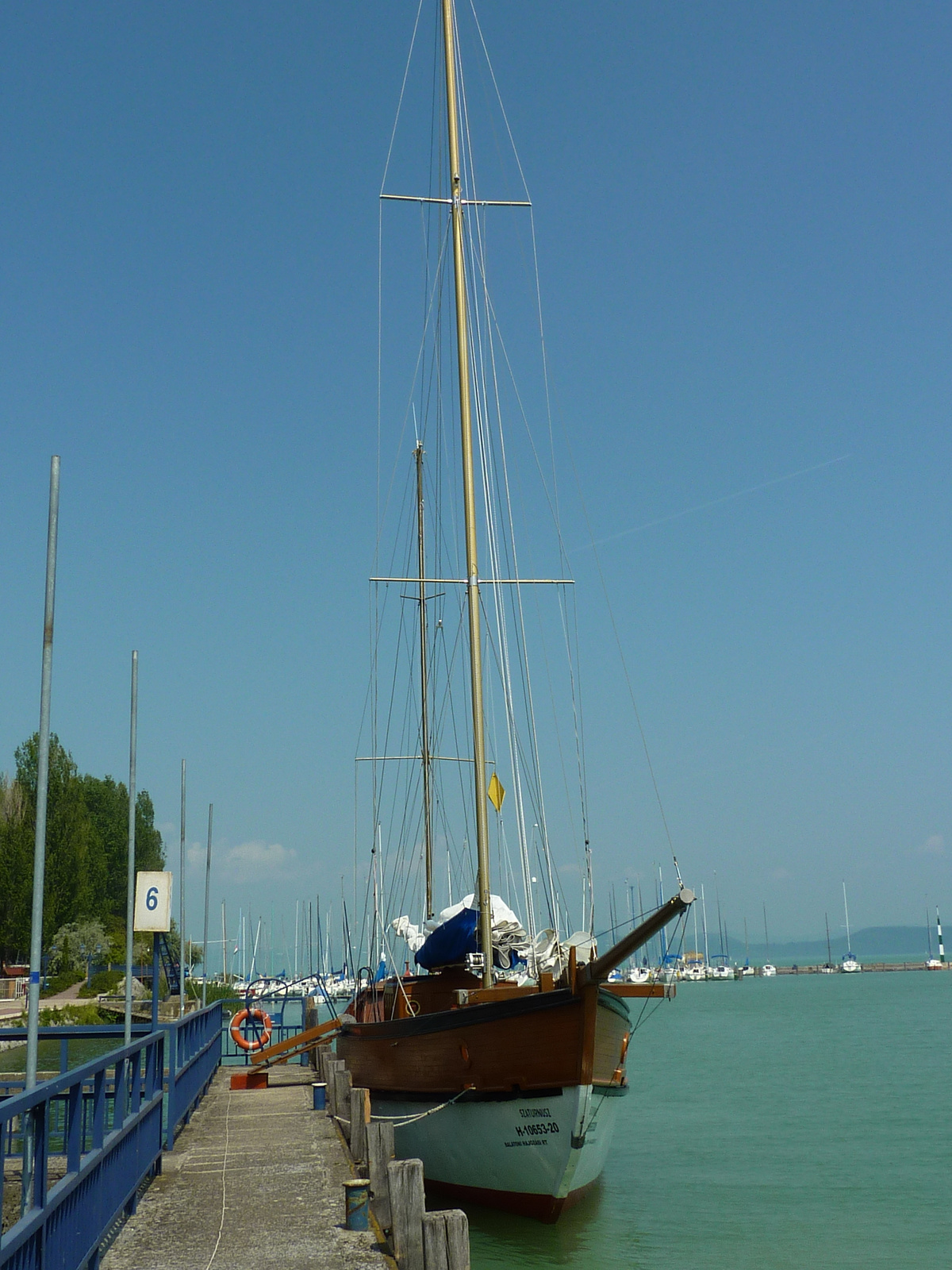 BALATON (100)