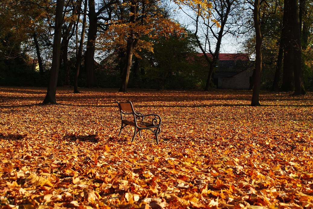 autumn solitude