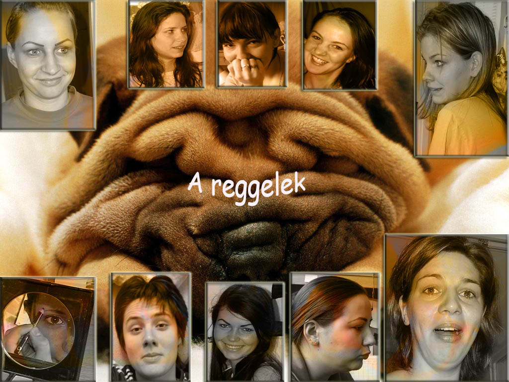 reggel