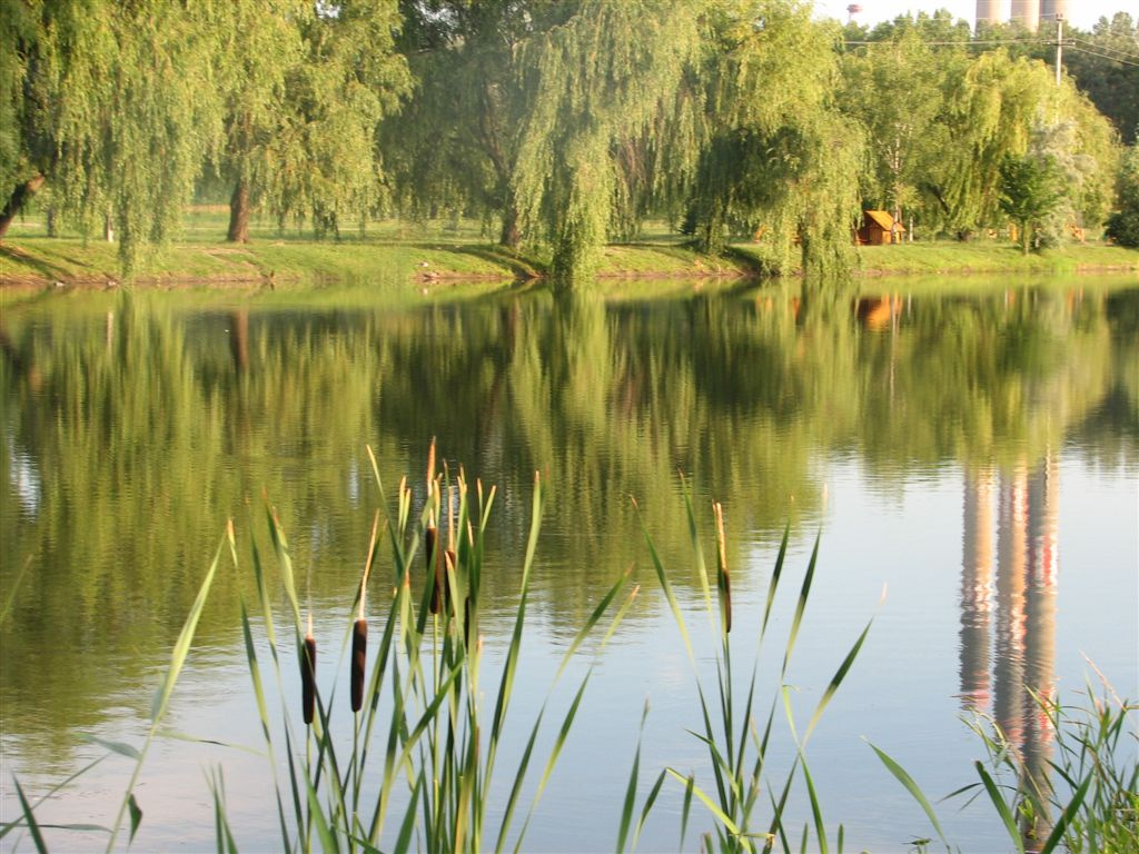 az elsõ reggel a harmadik harmadban 010