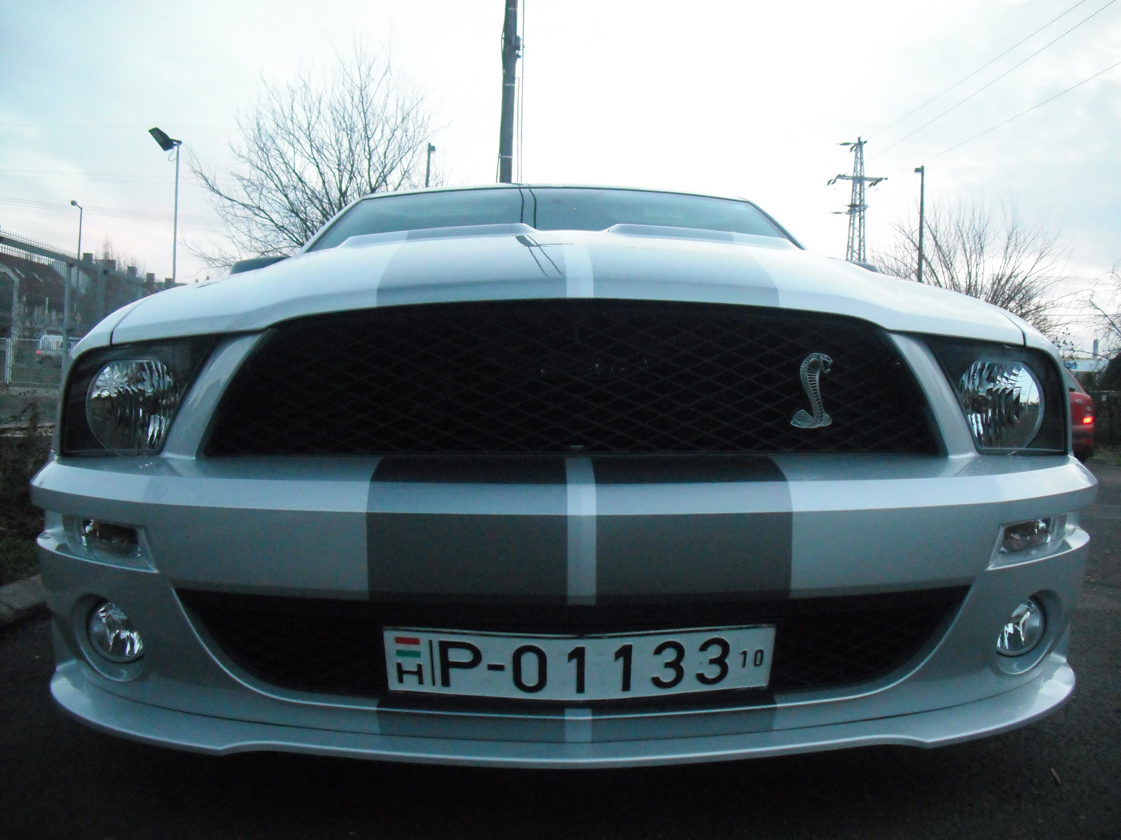 Mustang Shelby