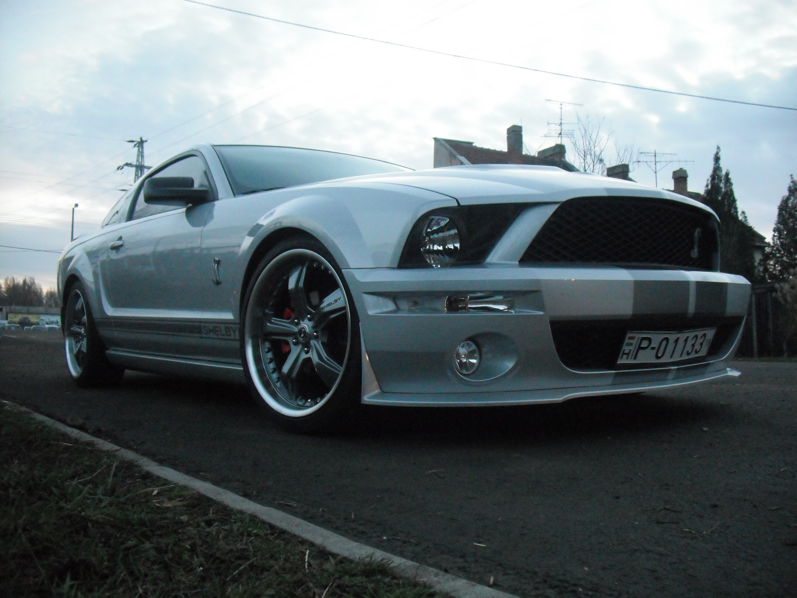 Mustang Shelby