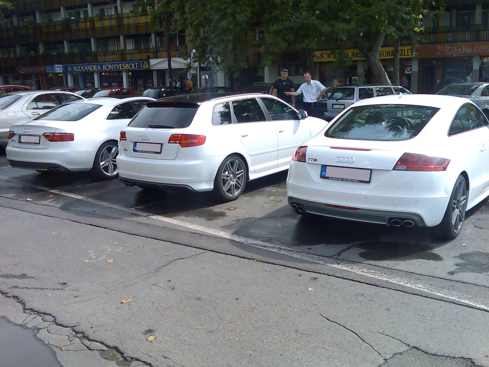 Audi S5 & Audi S3 & Audi TTS