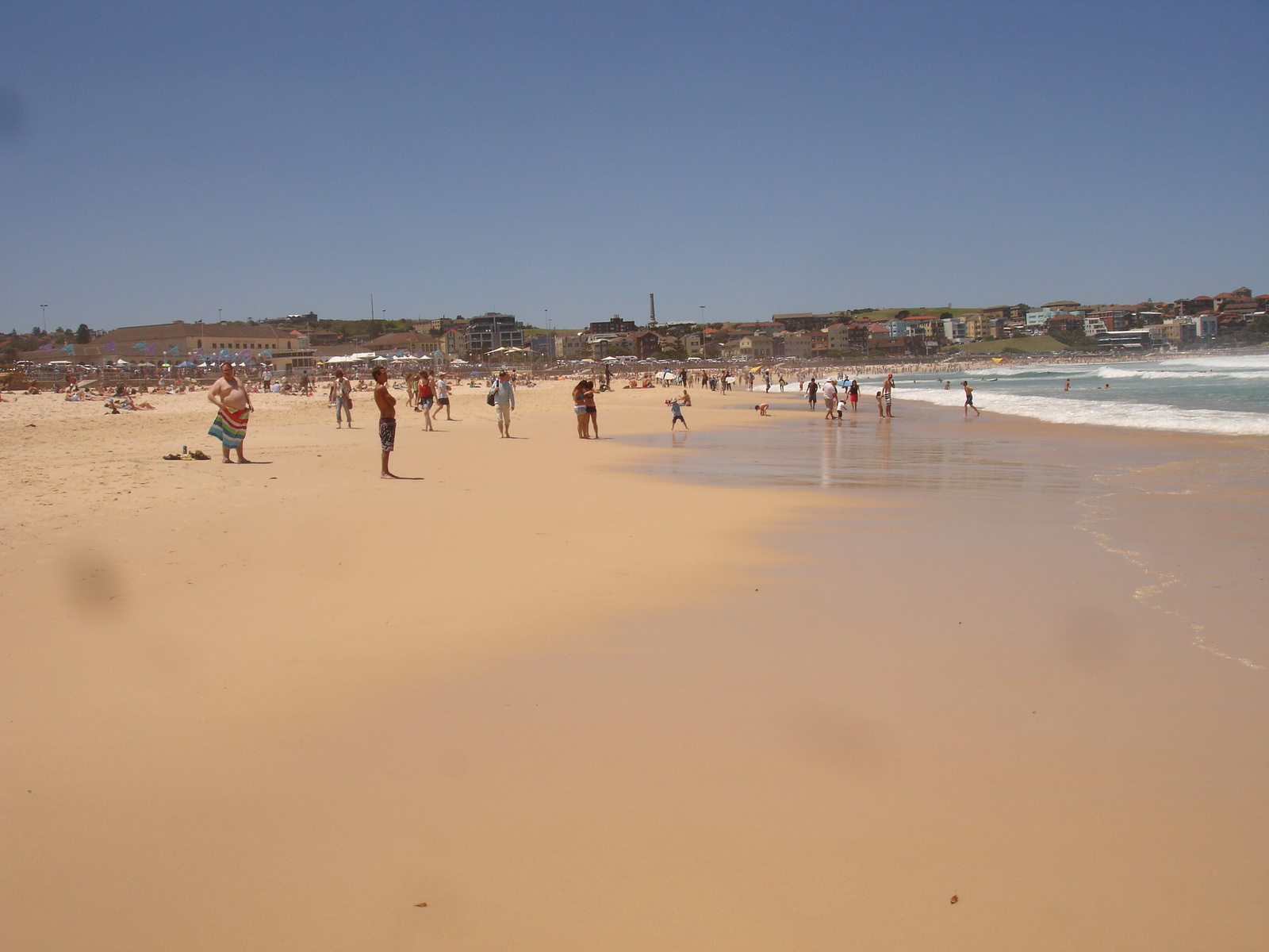 Bondi Beach