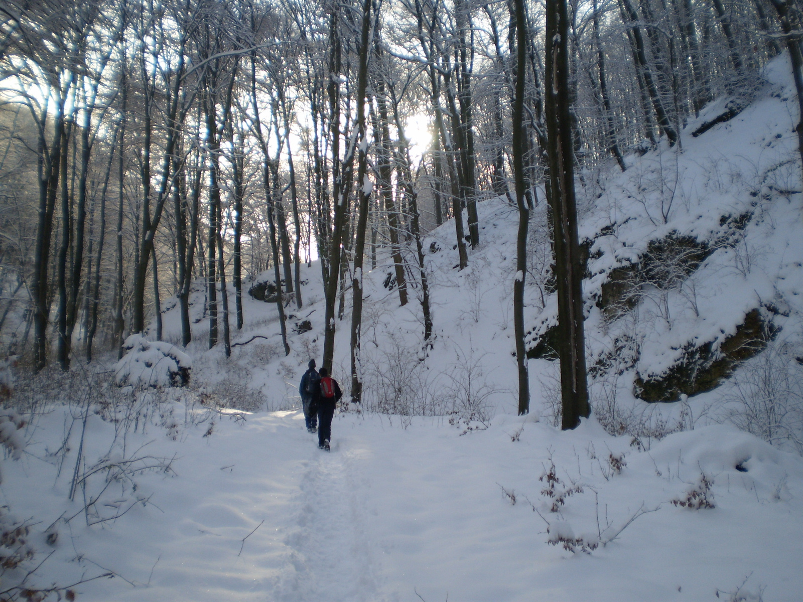 201011204Csesznek Kő árok