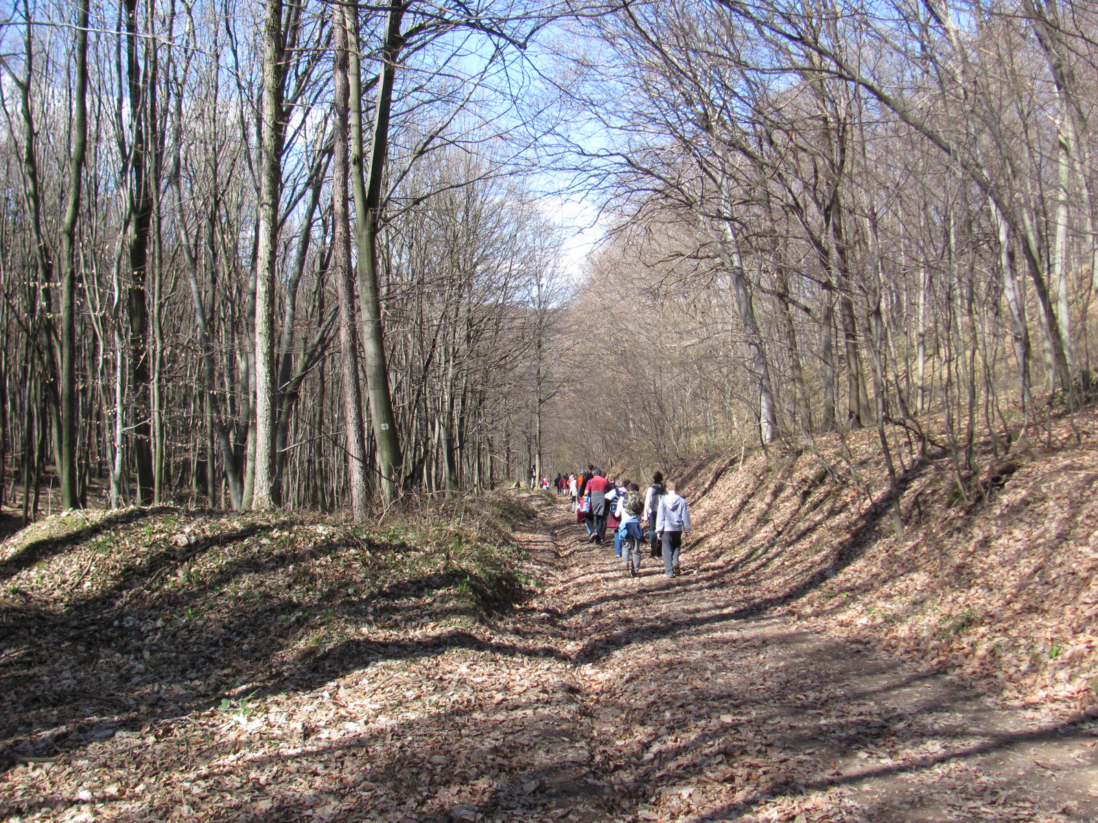 2011.03.14.Éger völgy-Orfű-égervölgy 009