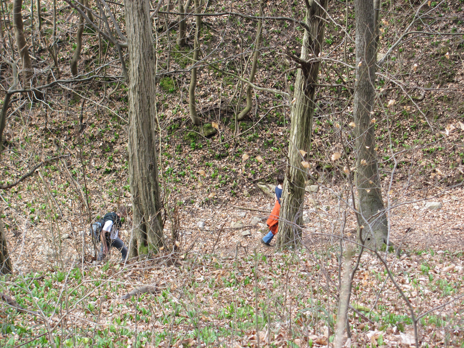 2011.03.14.Éger völgy-Orfű-égervölgy 021