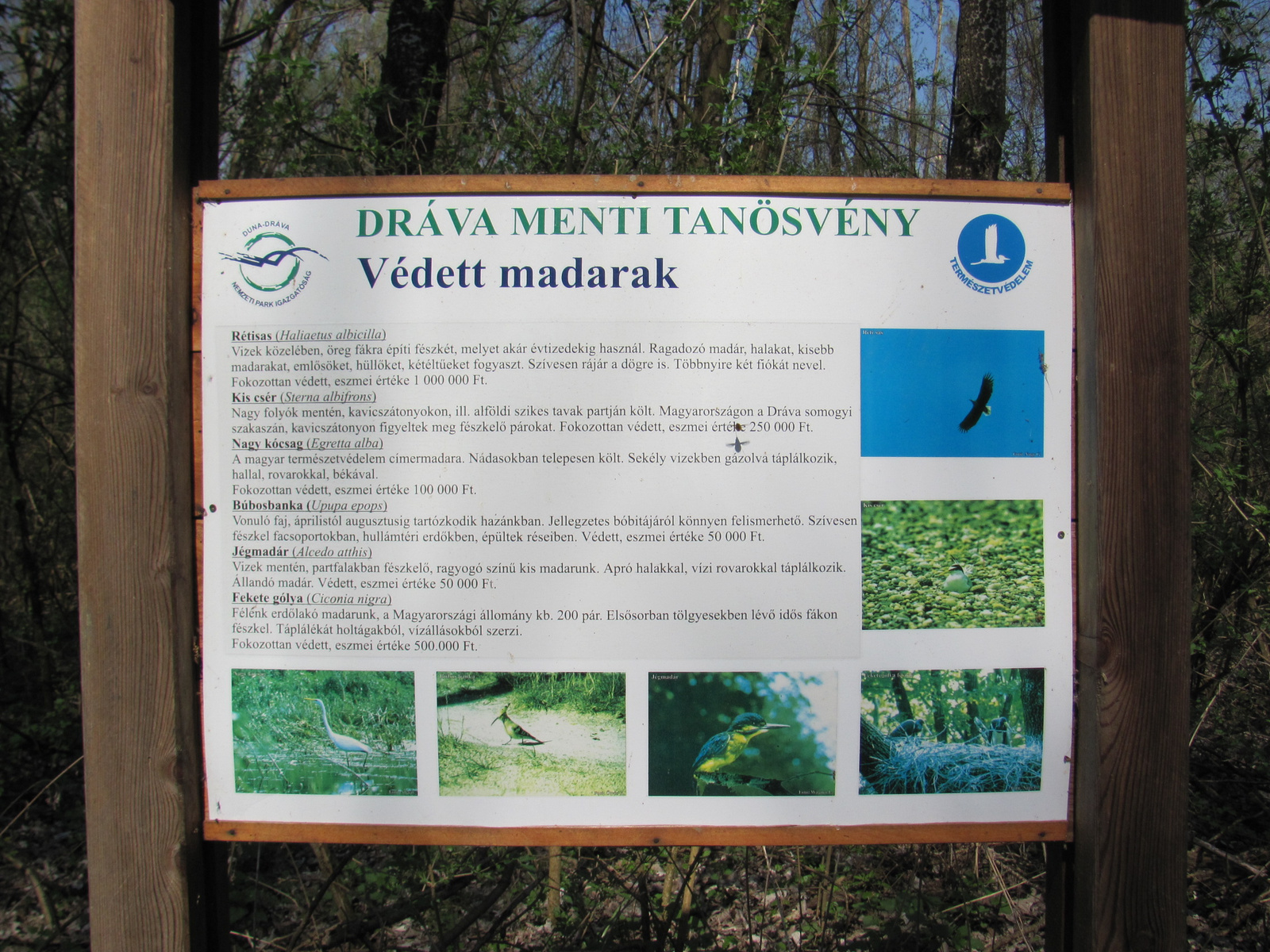 2011.04.03.Dráva menti bicajtúra 062