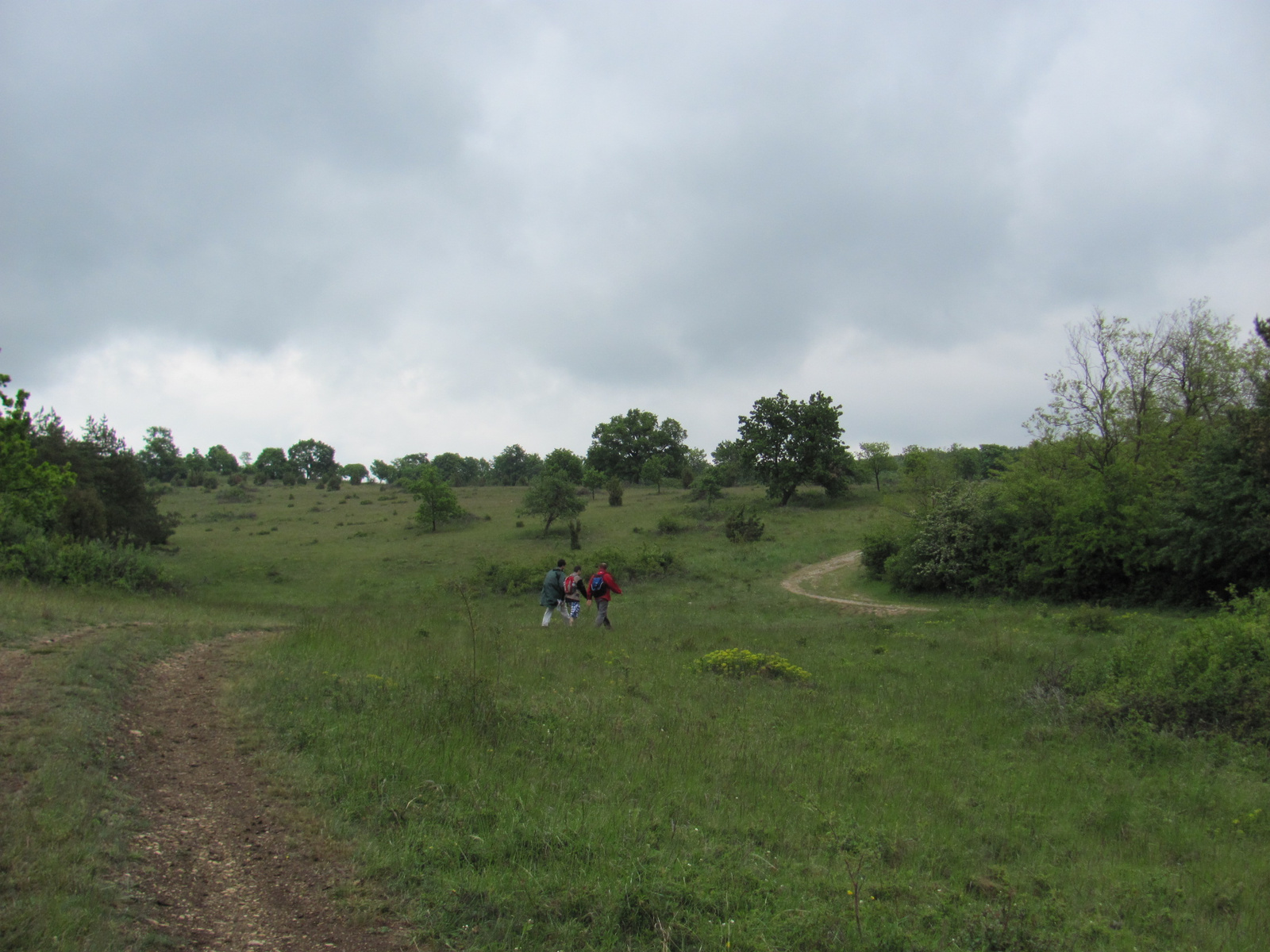 2011.05.08.Óbudavár teljesítménytúra 044