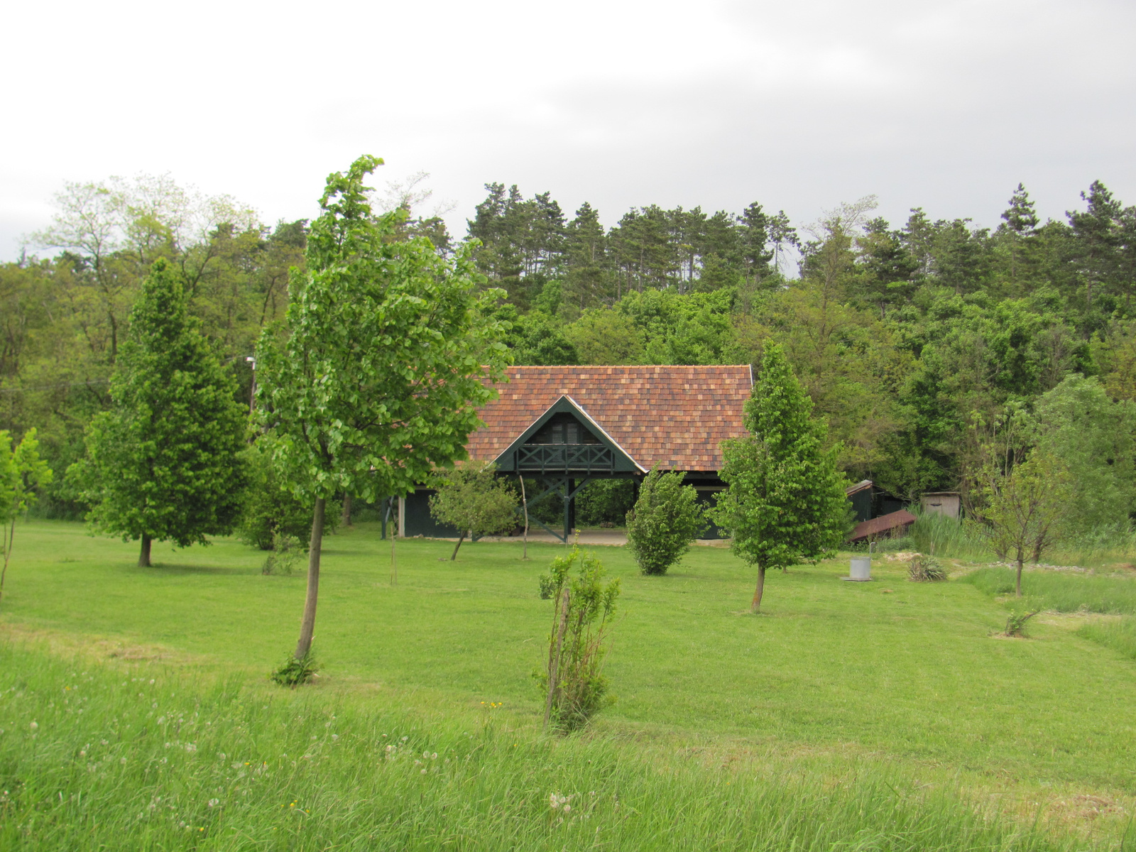 2011.05.08.Óbudavár teljesítménytúra 021