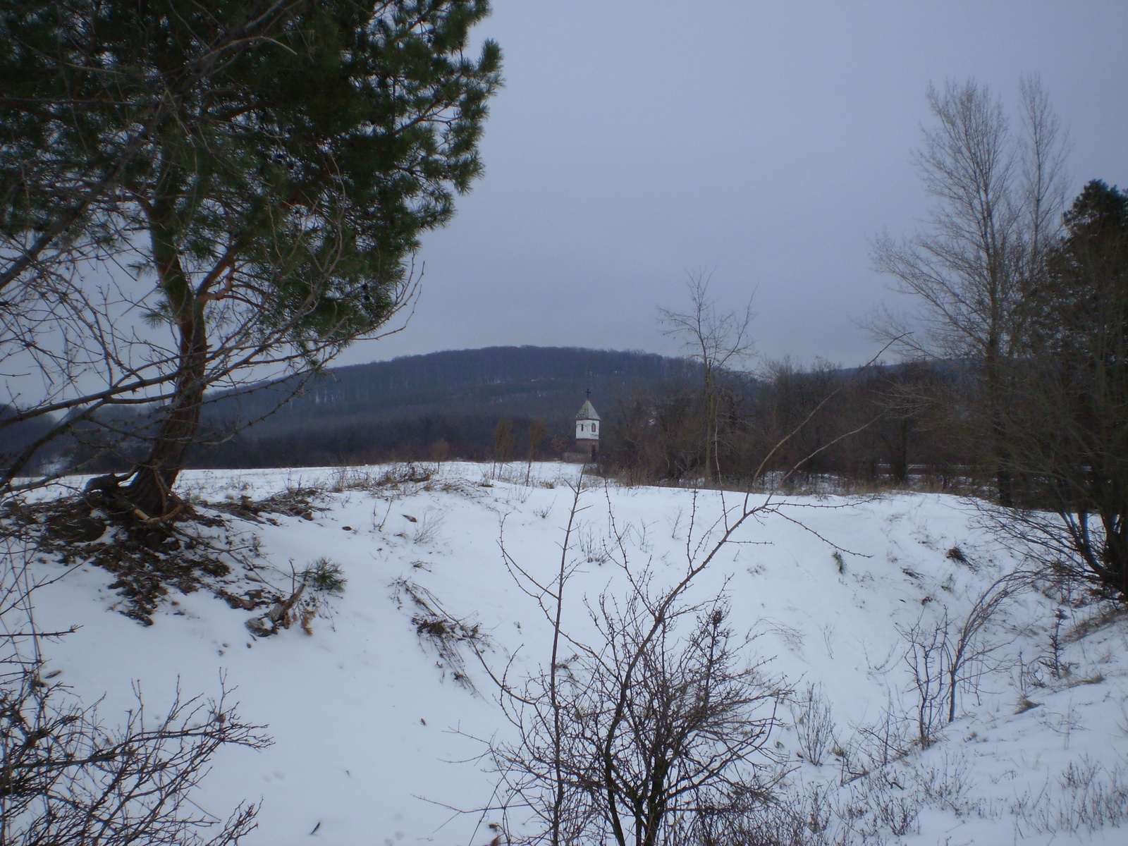 20090221Petőcz felé