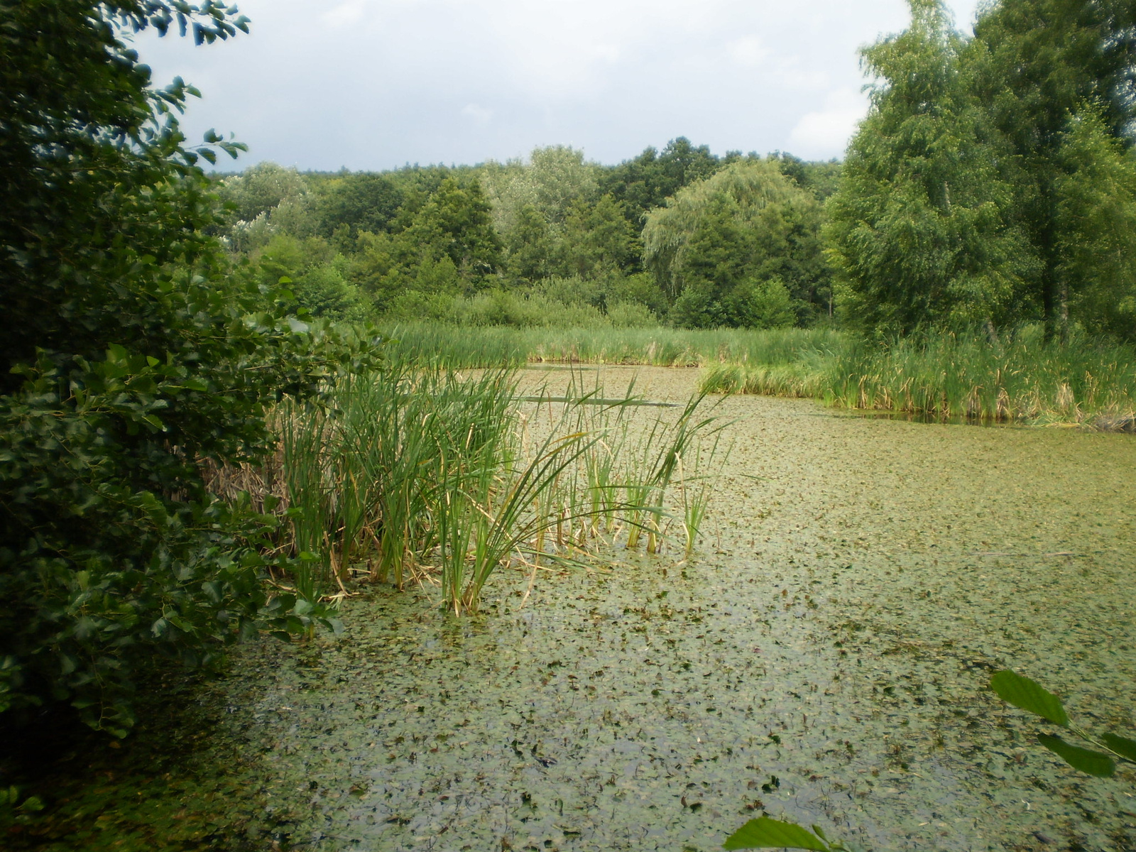 2009.08.13Gyöngyös 107