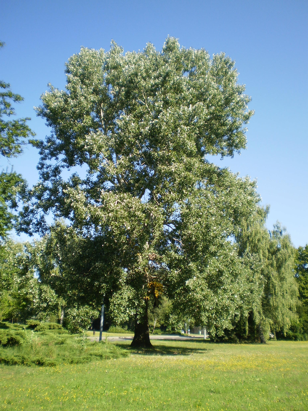 Miskolc Egyetemváros