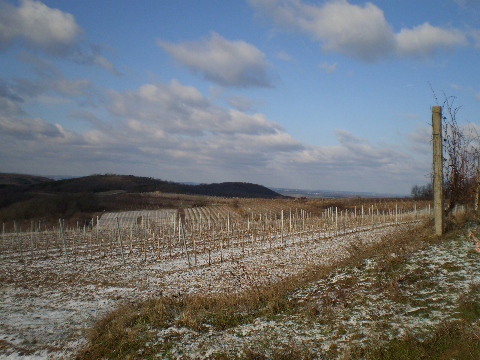 20100103FBTE kirándulás szekszárd 075