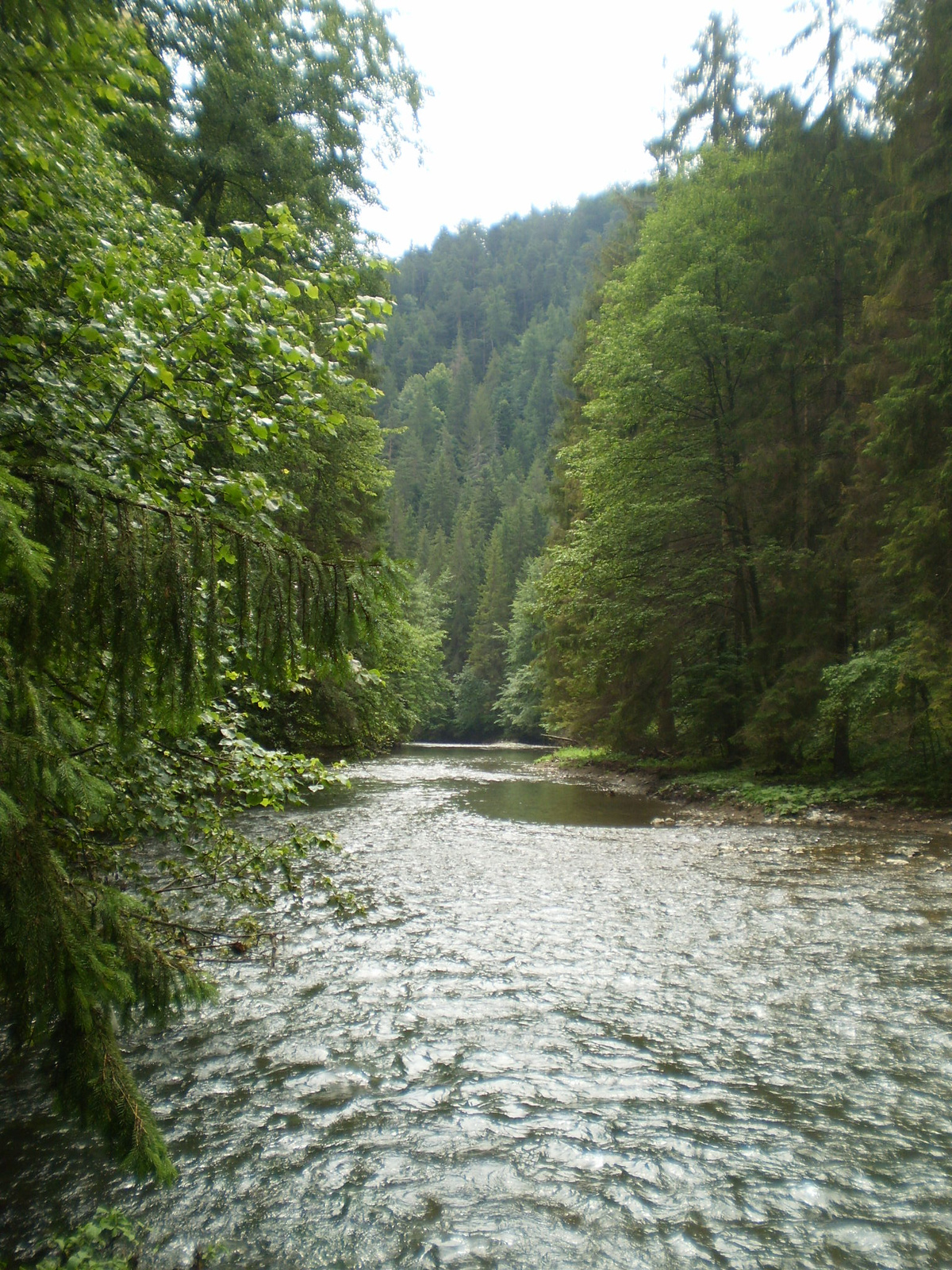 20100703-10Szlovák paradicsom- 153