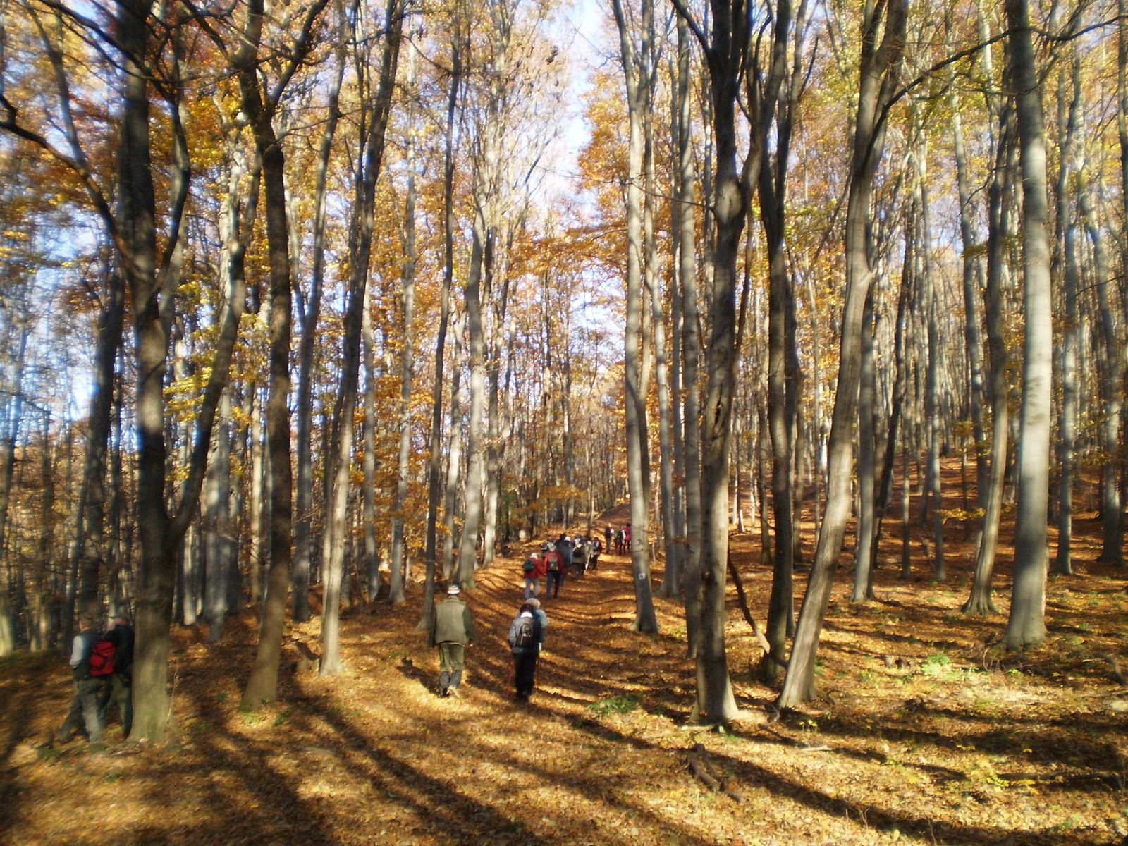 20101030Zobák-Pécsvárad 041