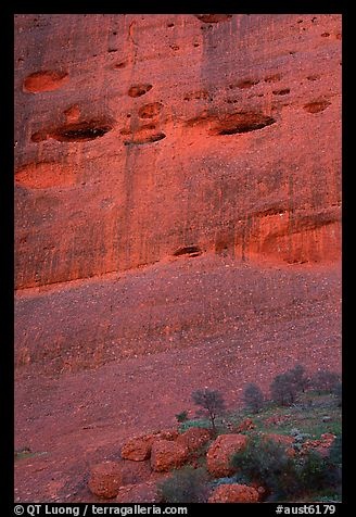 Detail of rock wall of the Olgas.