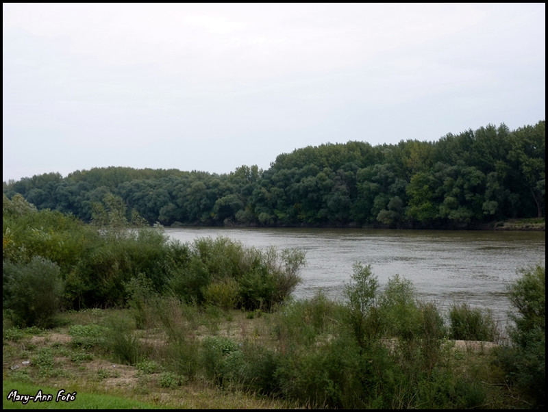 Tisza