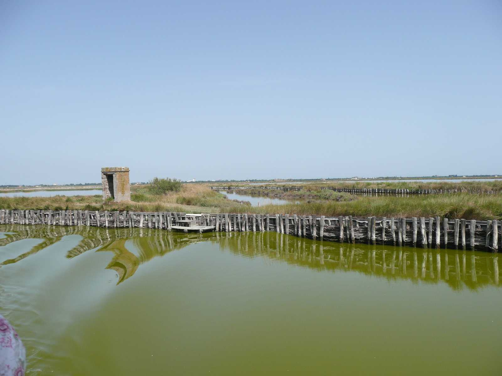 0871-Comacchio