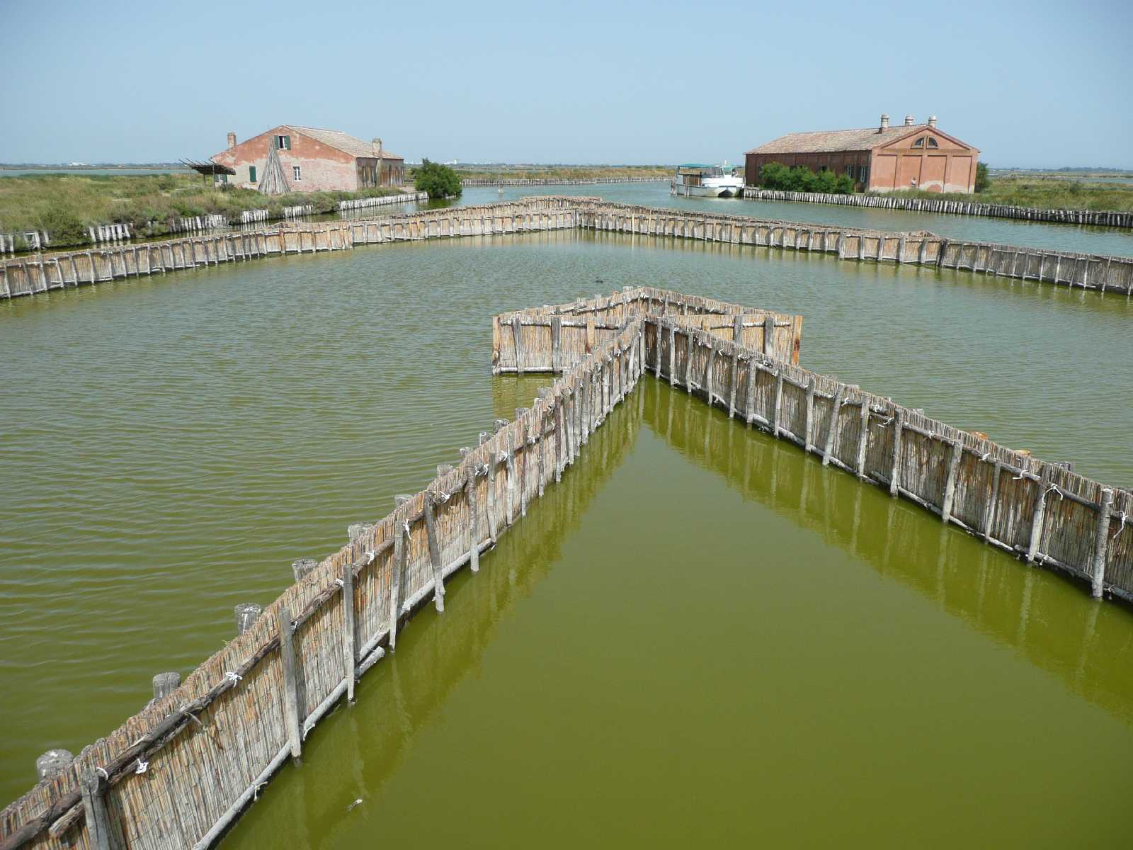 0926-Comacchio