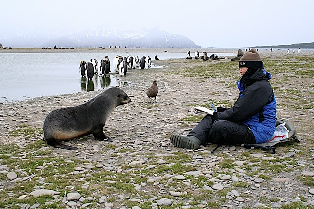 Antarctica 2010 with Cheesemans Ecology Safaris s