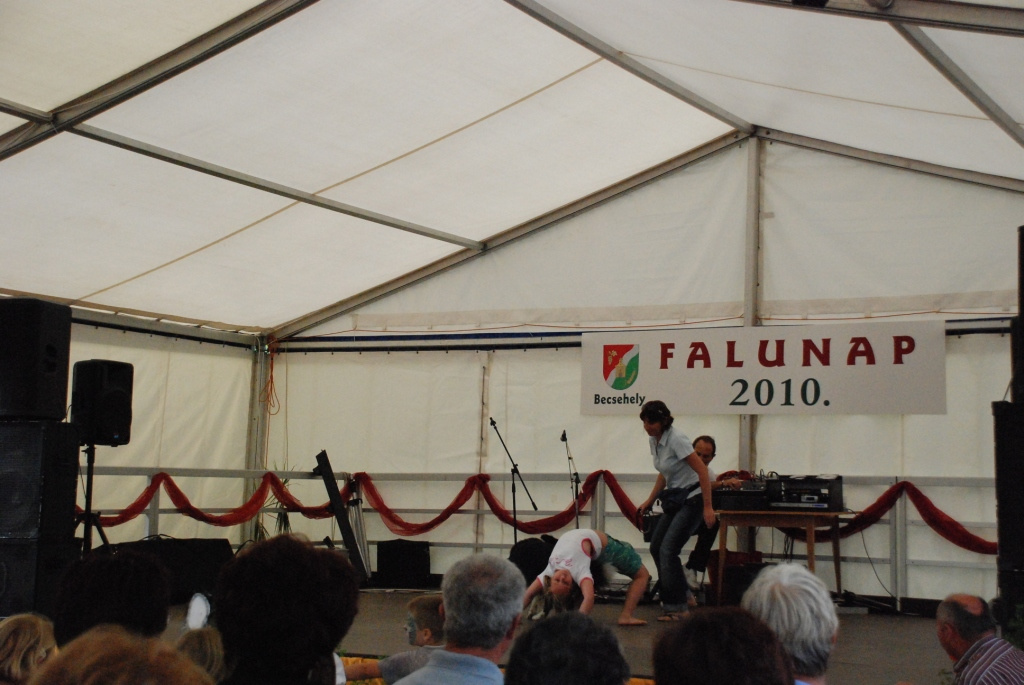 Falunap 2010. 115