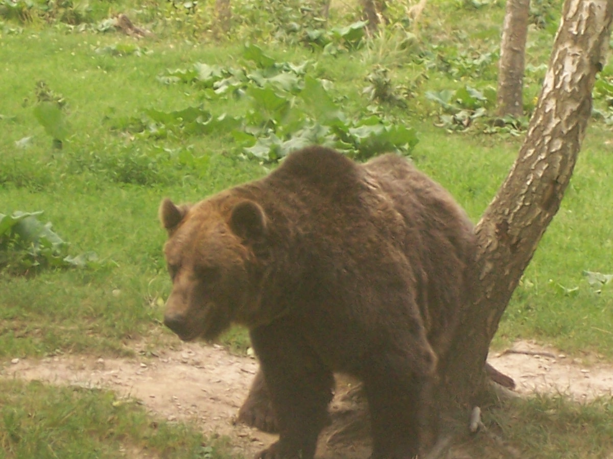 Kassai Állatkert 2007 nyár