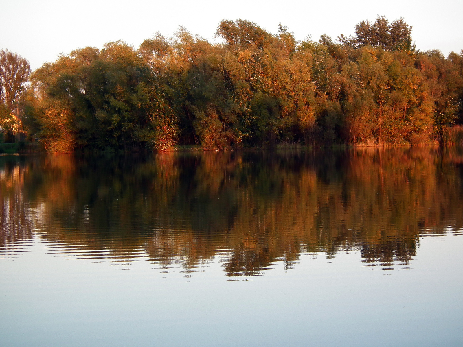 A Szulai-tó őszi színei