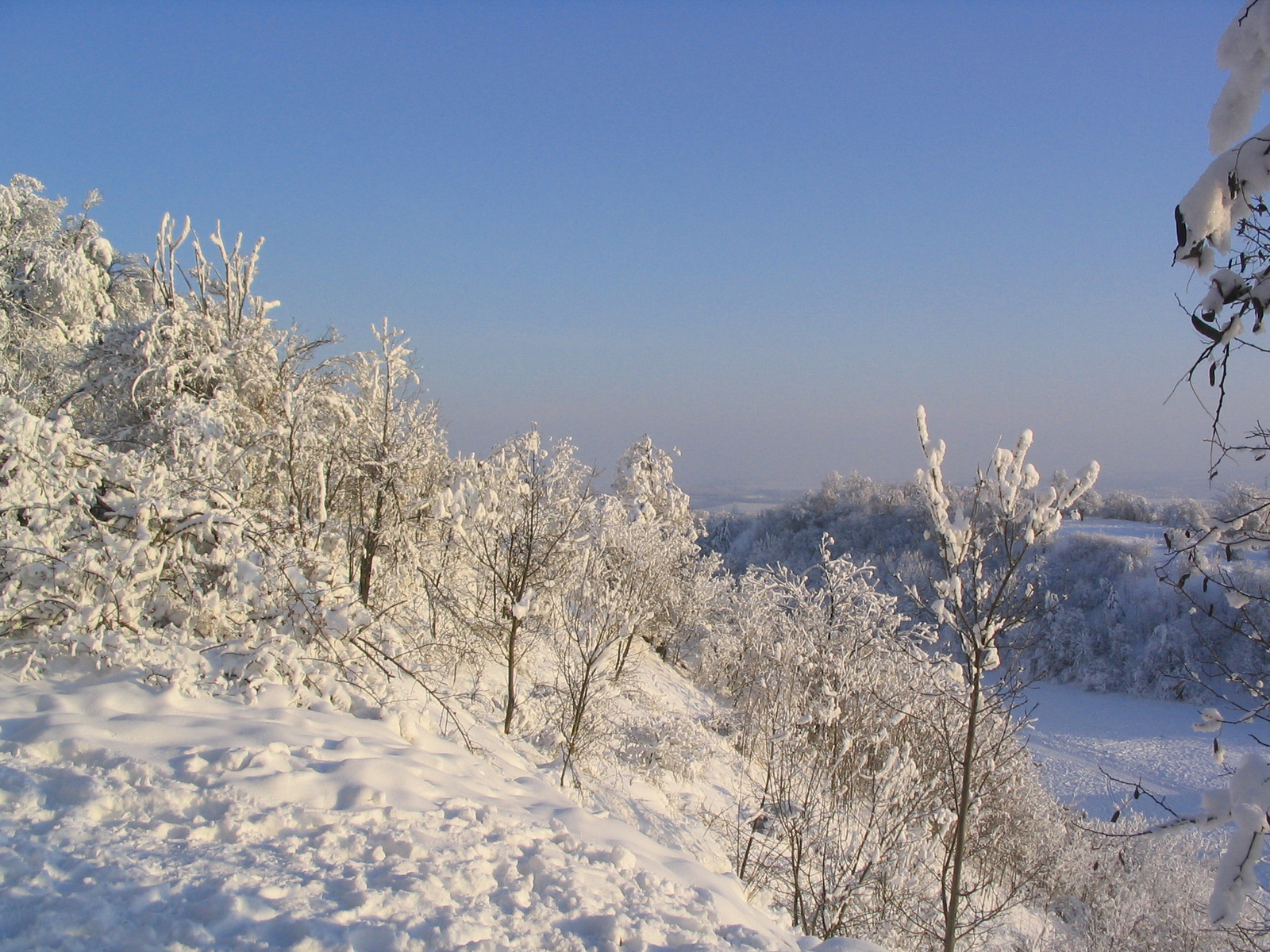 Téli Mecsek(2008.január 4.) 025