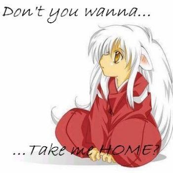 inuyasha baby