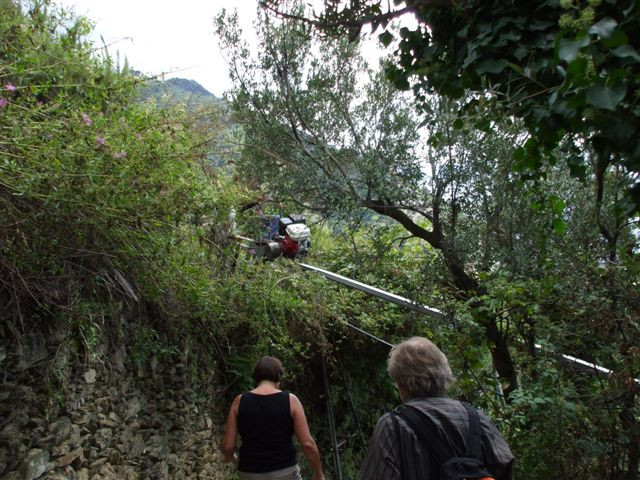 Cinque Terre kékösvény trenino