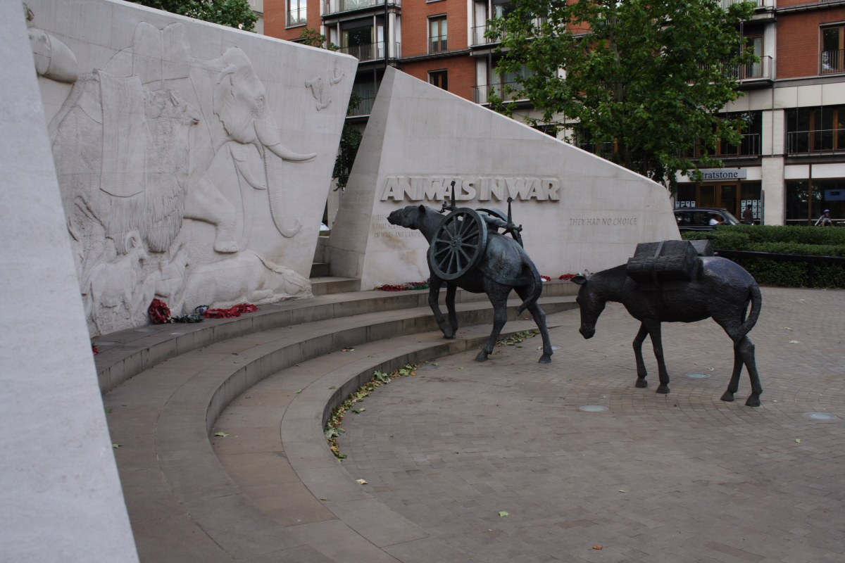 201007-animalswarmonument-monty02