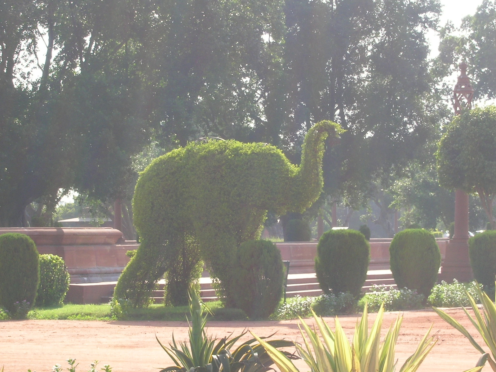 green elephant