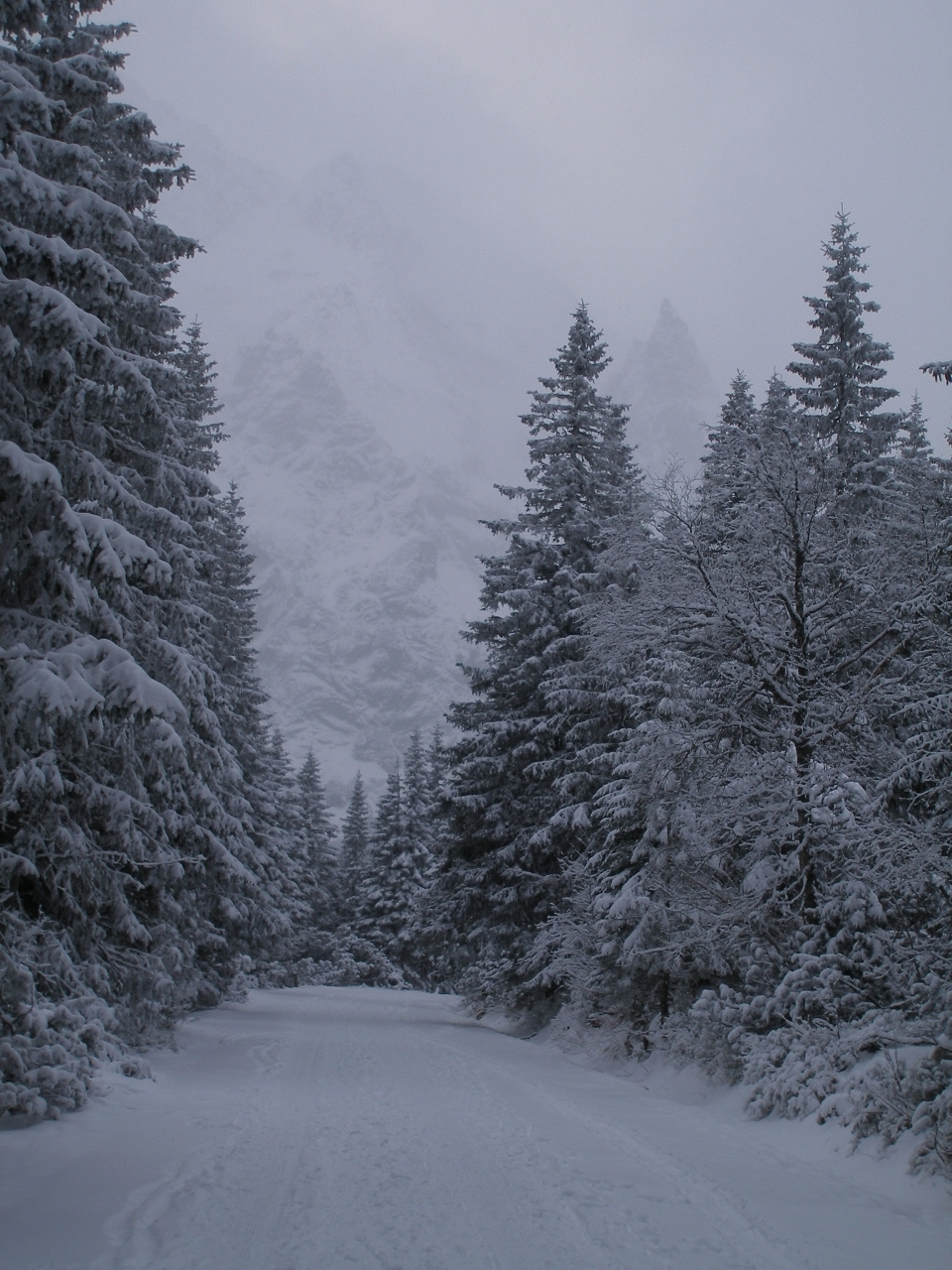 Út a Morskie Oko-hoz.