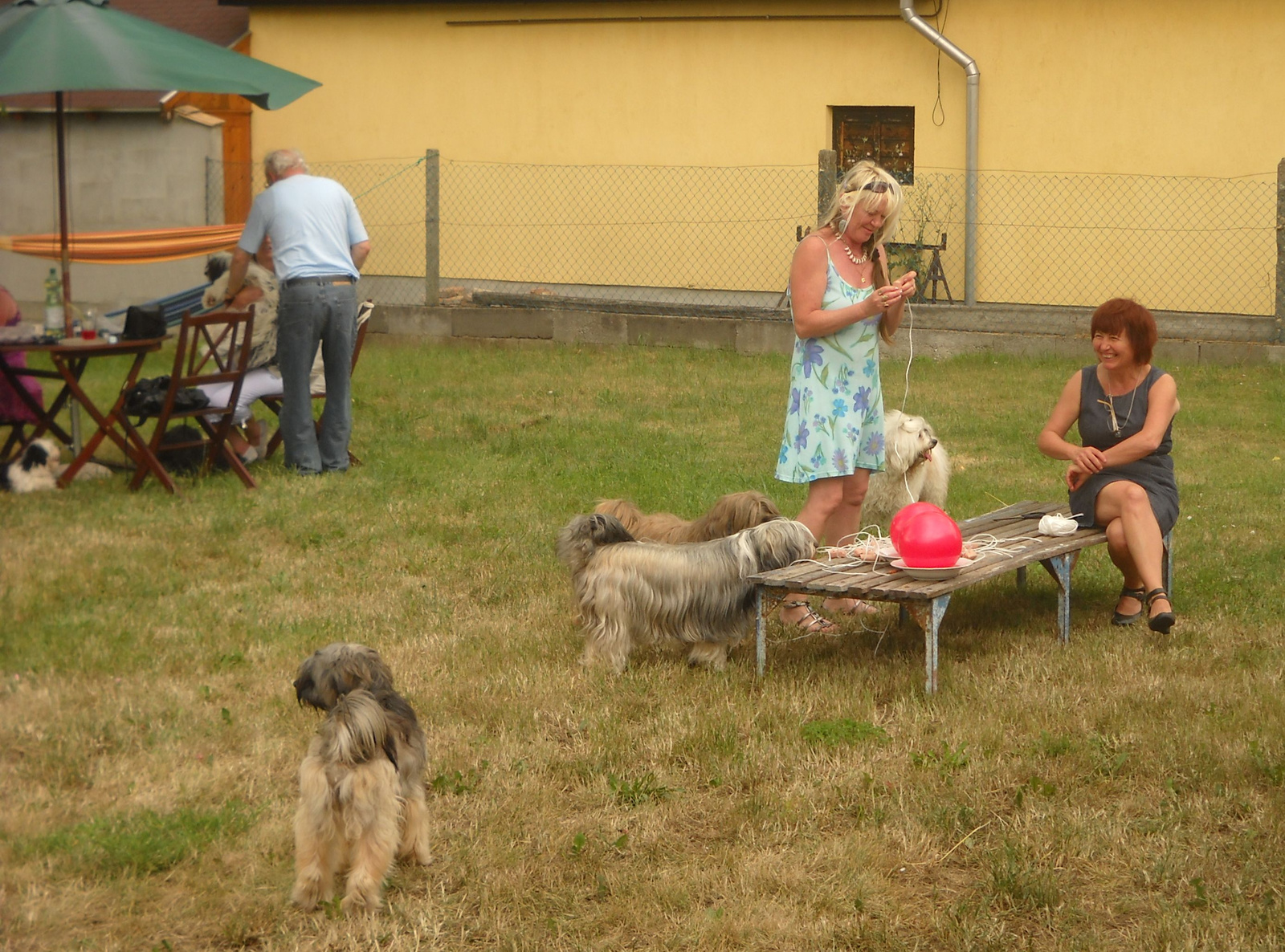 11.06.19.Mágika tanyája 061