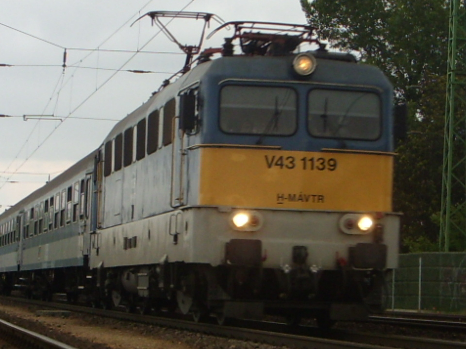 SDC11894