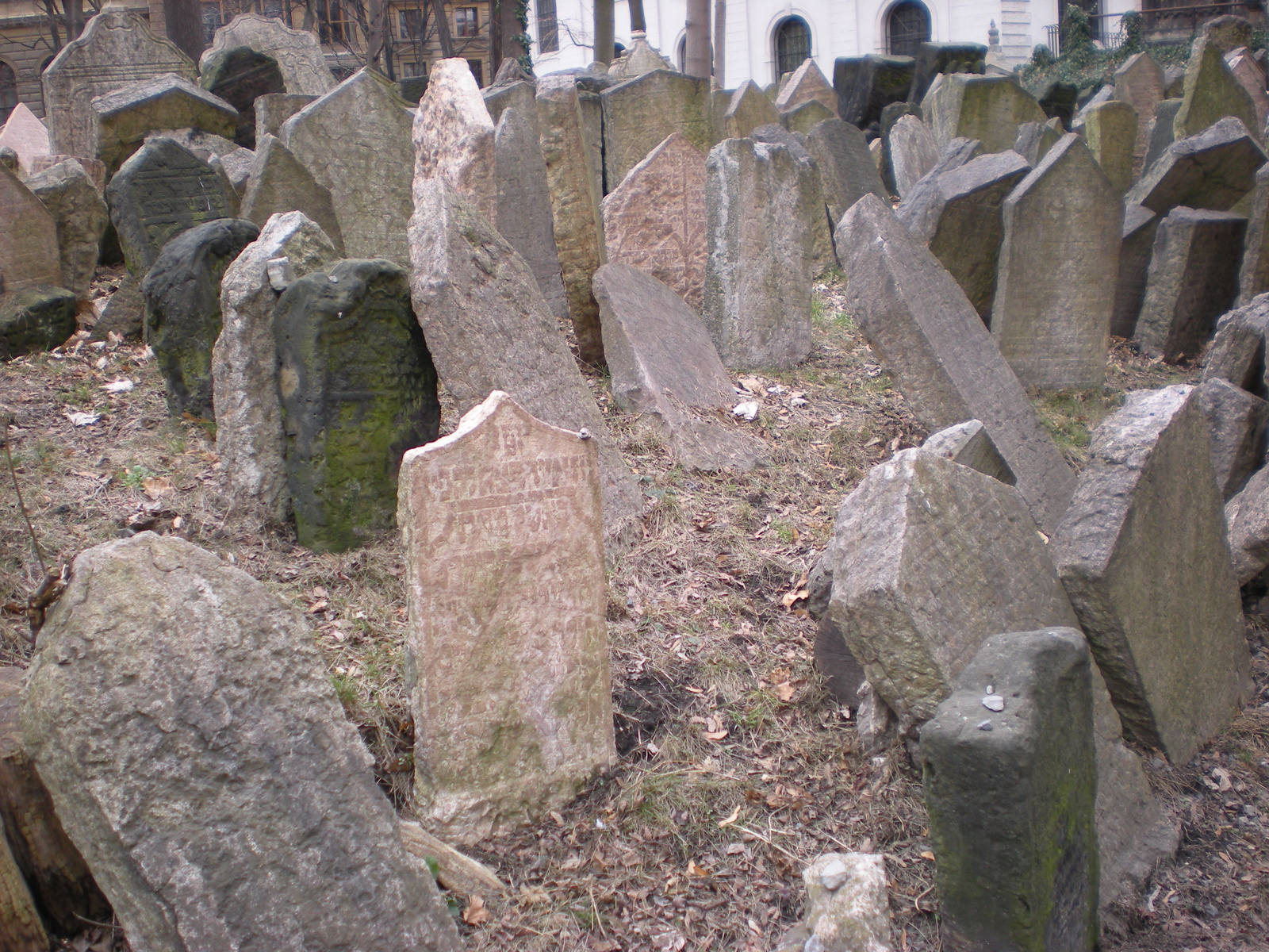 zsidó temető