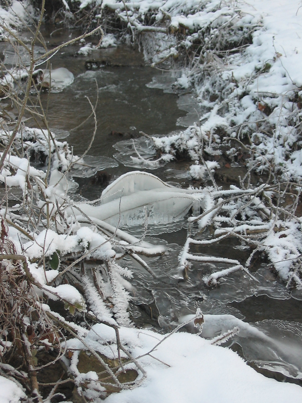 2010 12 30 zengő 091