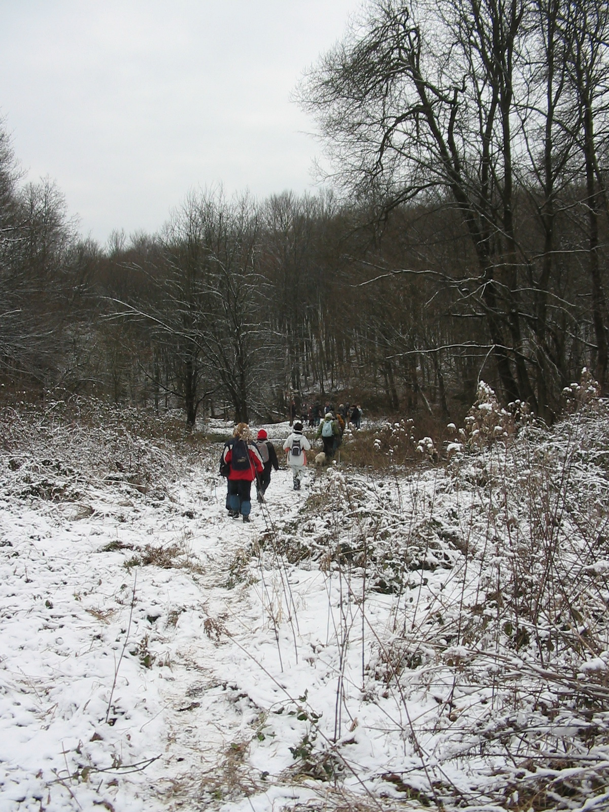 2011 01 22 H.Hetény-Pécs S. 013