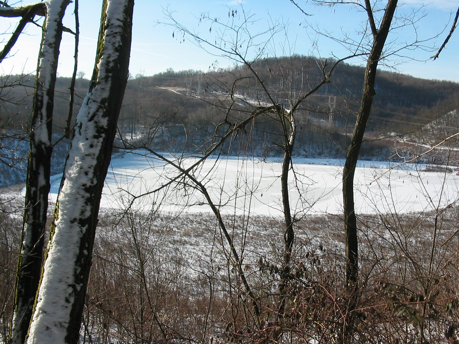 2010 01 29 de szőlő 010