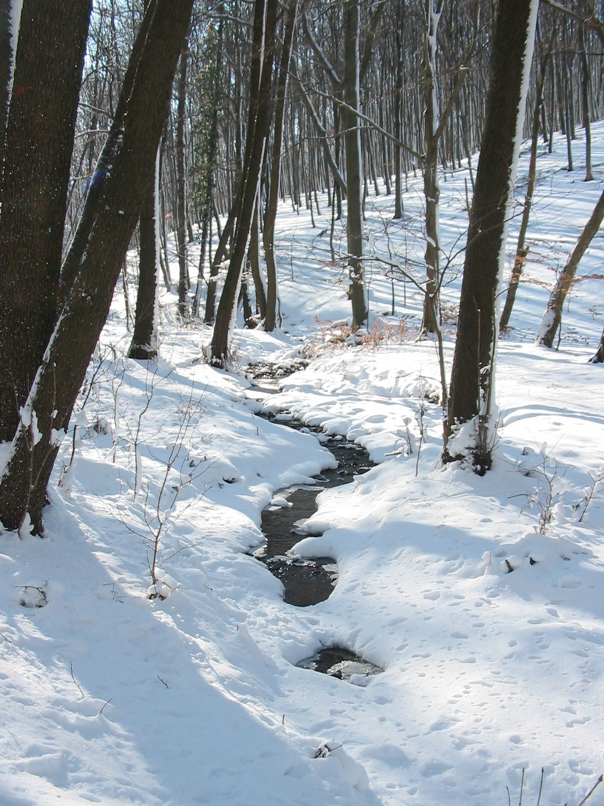 2010 02 02 Orfű-Égervölgy 029