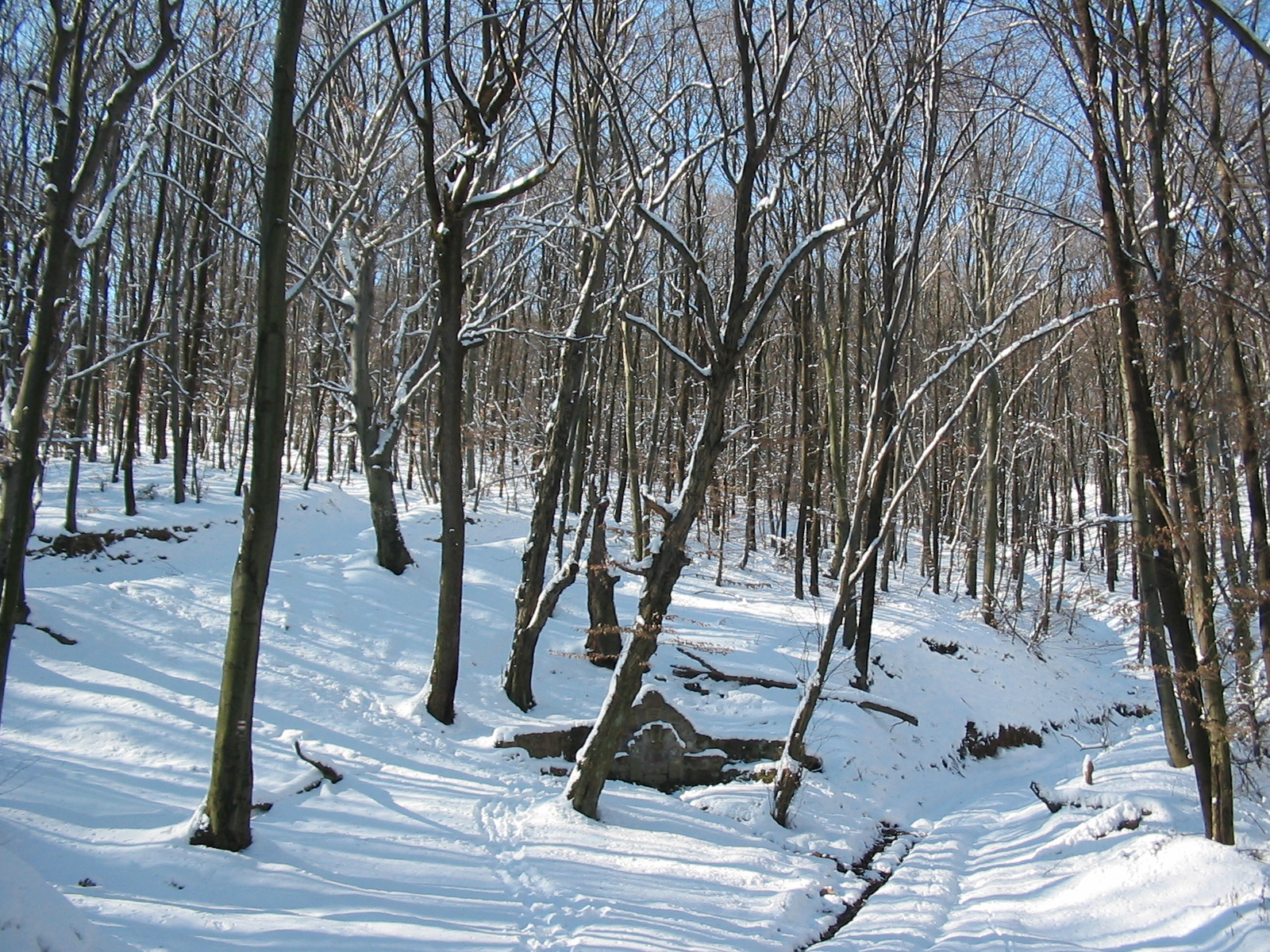 2010 02 02 Orfű-Égervölgy 060