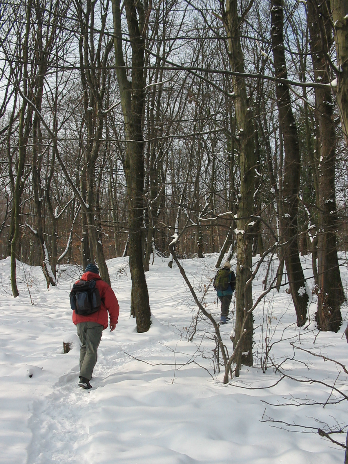 2010 02 09 Komló-Pécsbánya 002