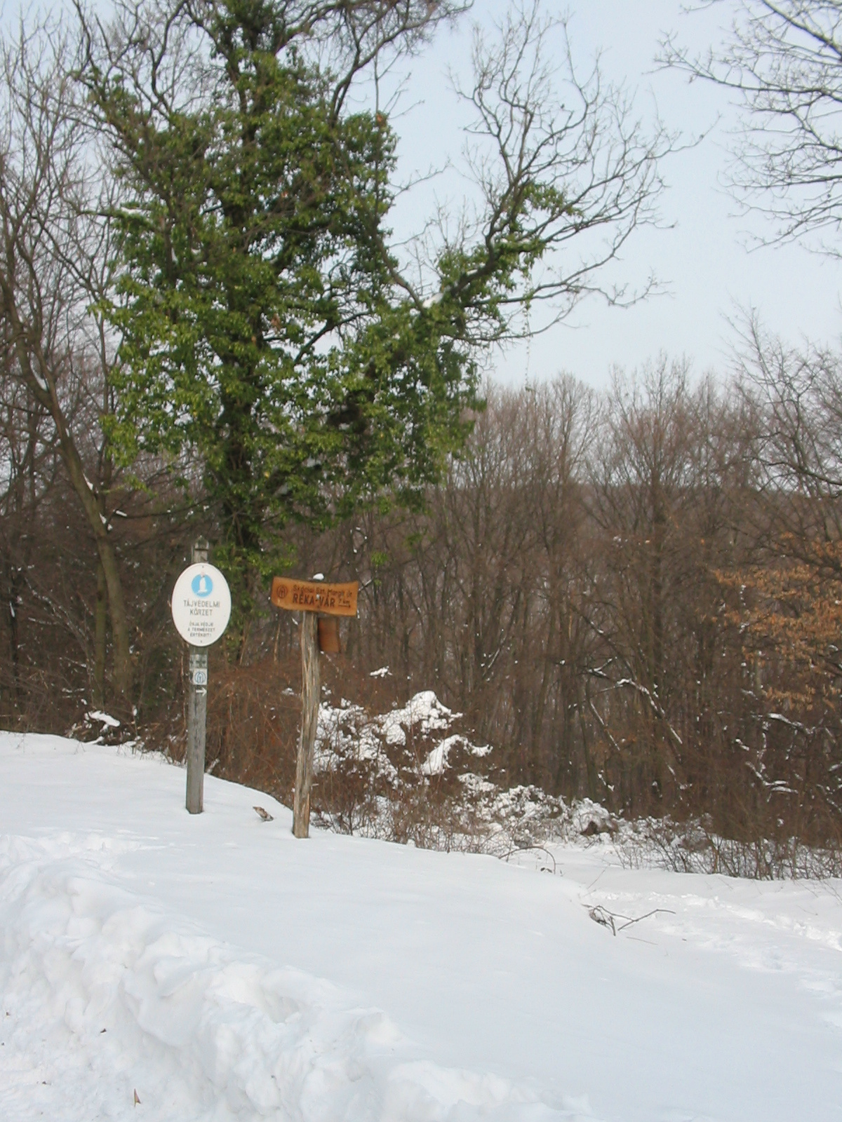 2010 02 15 Óbánya-Pécsvárad 146