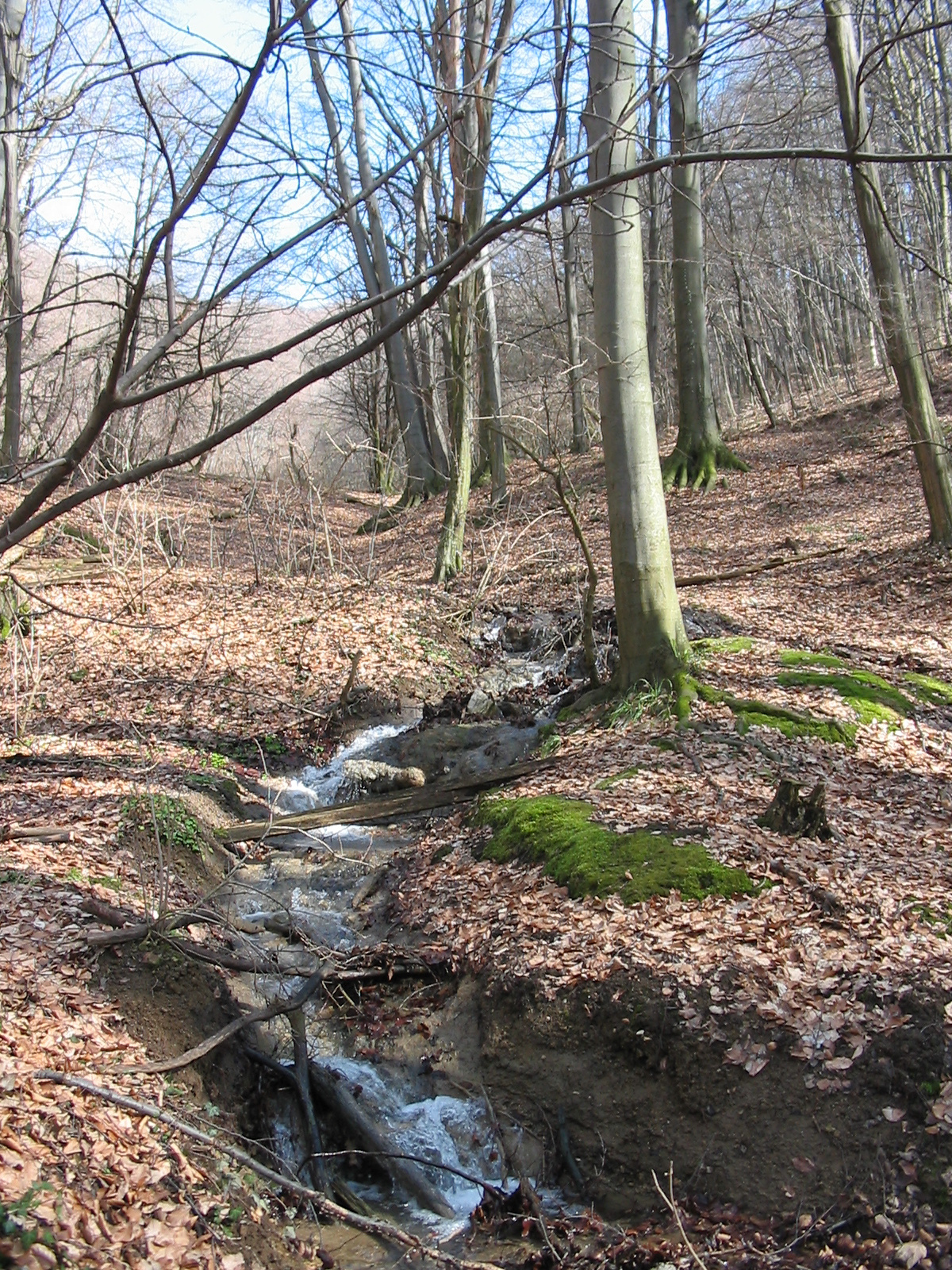 2010 03 03 Óbánya-Márévár 114