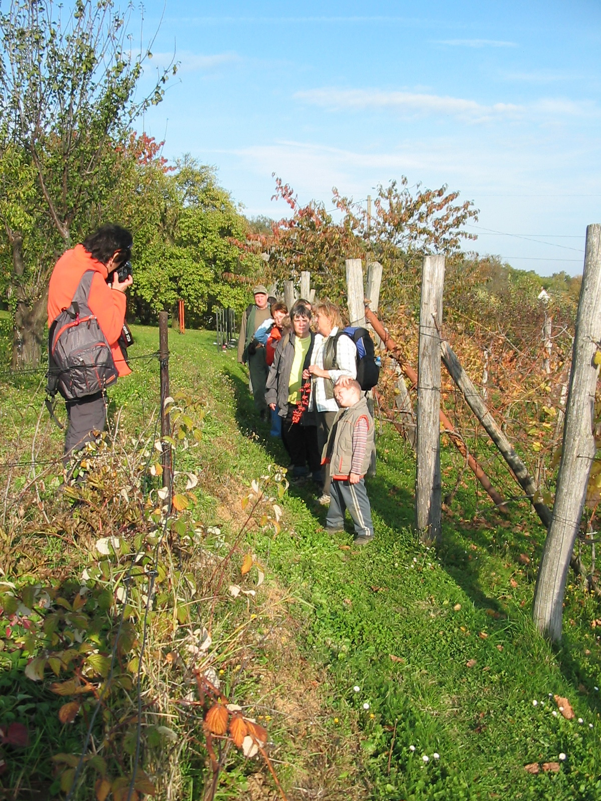 2010 10 23 Hosszúhetény -Szőlő 069