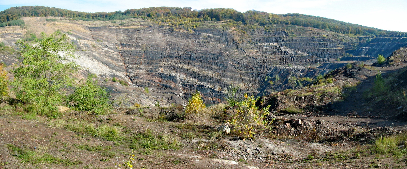 2010 10 23 Hosszúhetény -Szőlő 0141