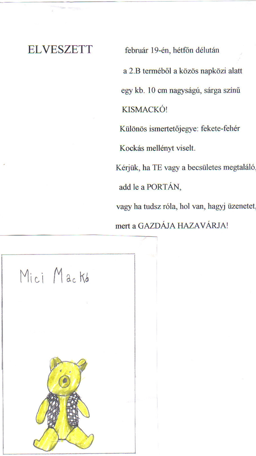 maciplakát